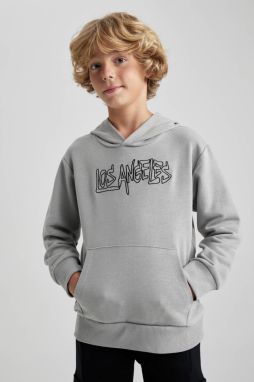 DEFACTO Boys' Hooded Thick Sweatshirt