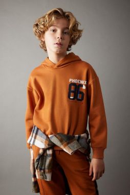 DEFACTO Boy Oversize Fit Hooded Thick Sweatshirt