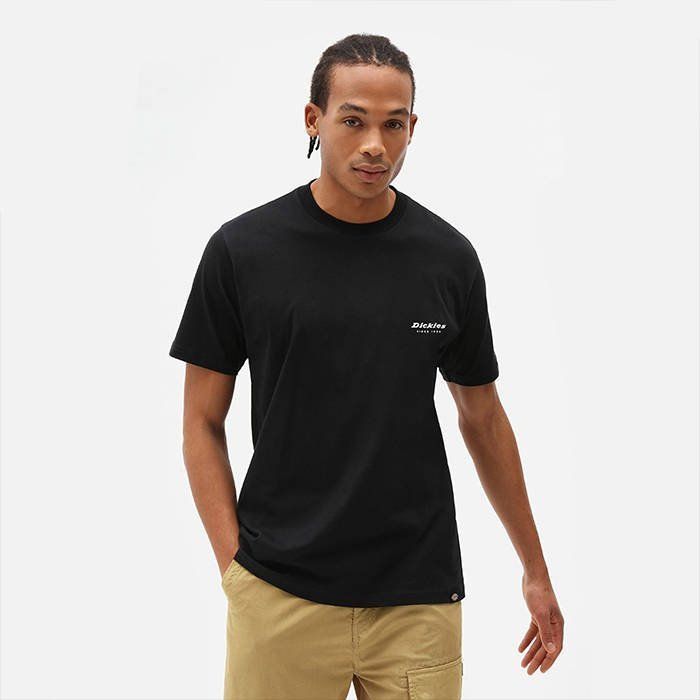 Dickies Quamba Box Tee DK0A4X9JBLK