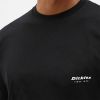 Dickies Quamba Box Tee DK0A4X9JBLK galéria