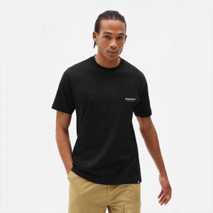 Dickies Quamba Box Tee DK0A4X9JBLK