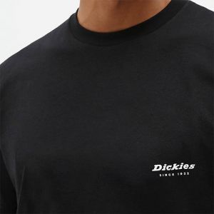 Dickies Quamba Box Tee DK0A4X9JBLK galéria