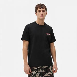 Dickies SS Ruston Tee DK0A4XDCBLK