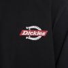 Dickies Ruston Tee DK0A4XEHBLK galéria