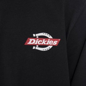 Dickies Ruston Tee DK0A4XEHBLK galéria