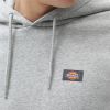 Dickies Oakport Hoodie DK0A4XCDGYM galéria