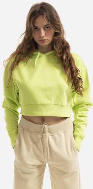 The North Face W Trend Crop Hoodie NF0A5ICYHDD