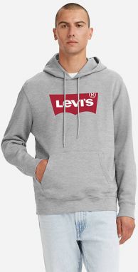 Levi's® Standard Graphic Hoodie 38424-0000