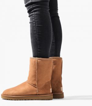 UGG Classic Short II 1016223 CHE