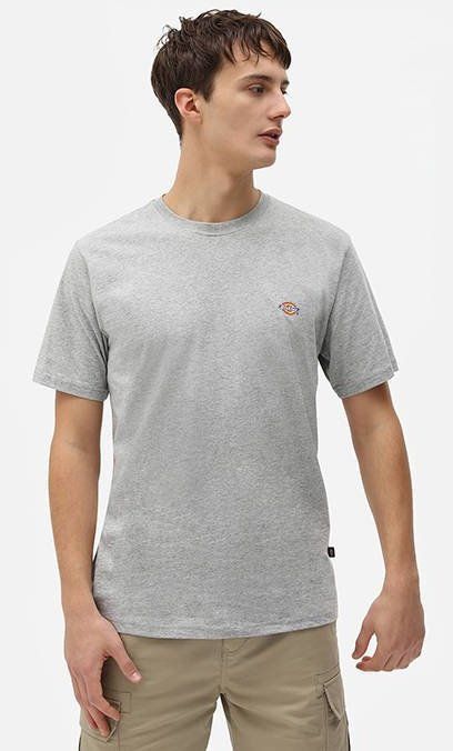 Dickies SS Mapleton T-Shirt DK0A4XDBGYM