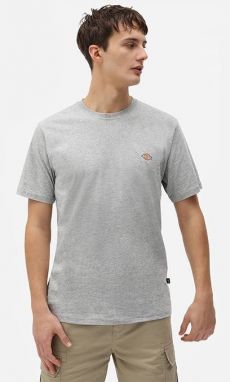 Dickies SS Mapleton T-Shirt DK0A4XDBGYM