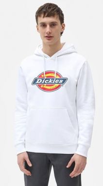 Dickies Icon Logo Hoodie DK0A4XCBWHX