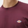 Dickies SS Mapleton T-Shirt DK0A4XDBMR0 galéria