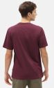 Dickies SS Mapleton T-Shirt DK0A4XDBMR0 galéria