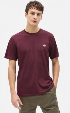 Dickies SS Mapleton T-Shirt DK0A4XDBMR0