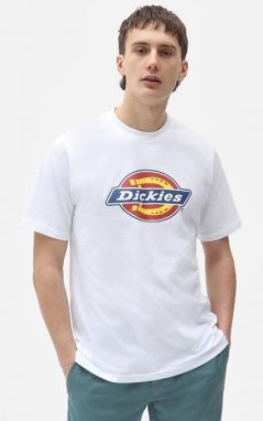 Dickies Icon Logo Tee DK0A4XC9WHX