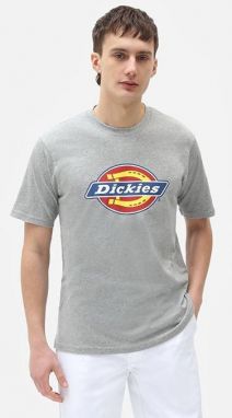 Dickies Icon Logo Tee DK0A4XC9GYM