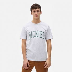 Dickies Aitkin Tee DK0A4X9FA28