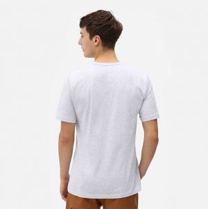 Dickies Aitkin Tee DK0A4X9FA28 galéria