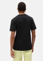 Dickies SS Mapleton T-Shirt DK0A4XDBBLK galéria