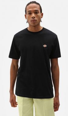 Dickies SS Mapleton T-Shirt DK0A4XDBBLK