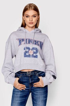 Pinko Mikina Mogliano 1G17CN Y7YR Sivá Regular Fit