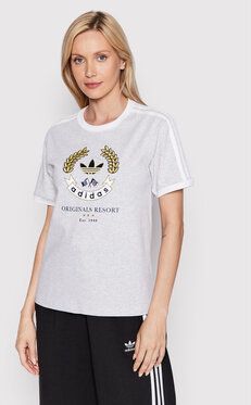 adidas Tričko Graphic HL6554 Sivá Loose Fit