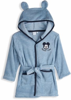 GATE Župan Mickey Mouse