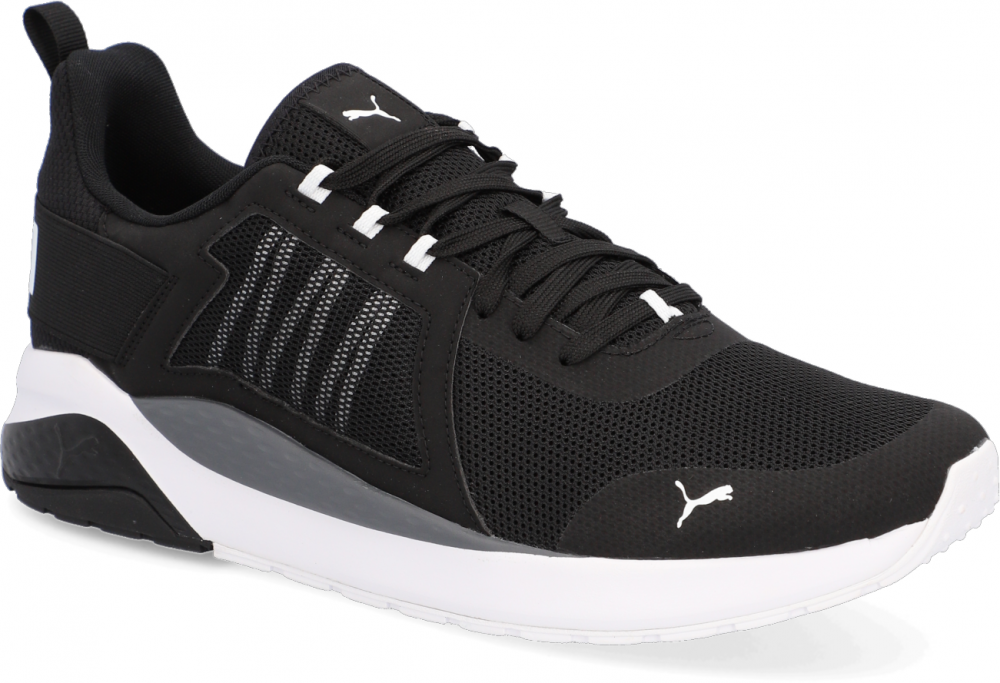 Puma Anzarun