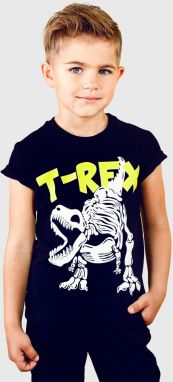Chlapčenské tričko T Rex