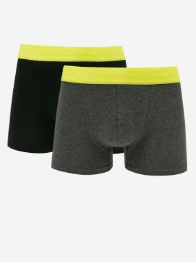 Set of two men's boxers in black and dark grey Replay - Men