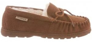 Papuče Bearpaw  24885-24