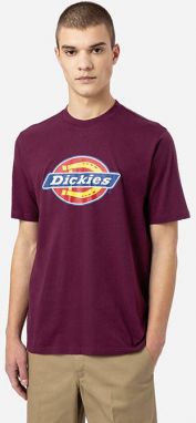 Dickies Icon Logo Tee DK0A4XC9C95