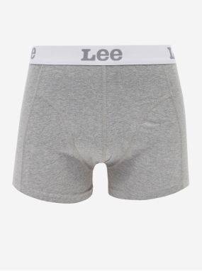 Light gray Mens Boxers Lee 2-Pack - Men