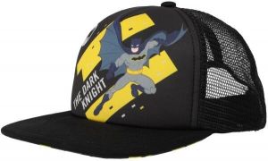 Warner Bros BATMAN DARK HAT Šiltovka, čierna, veľkosť