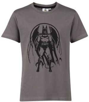 Warner Bros DAK Chlapčenské tričko, sivá, veľkosť