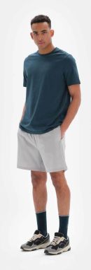 Dagi Gray Men's Basic Tights Shorts