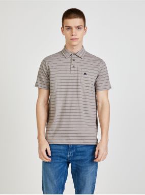 Light gray striped polo shirt LERROS - Men