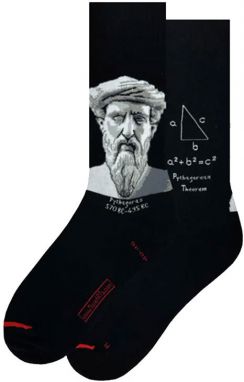 MuseARTa Science & History - Pythagoras