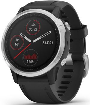 Garmin Fenix 6S Silver/Black Band 010-02159-01