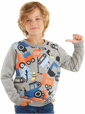 Denokids Cute Cars Boys Sweatshirt