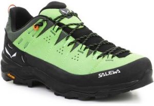 Turistická obuv Salewa  Alp Trainer 2 Gore-Tex® Men's Shoe 61400-5660