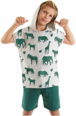 mshb&g Animals Boys T-shirt Shorts Set