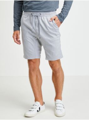 Light Grey Mens Shorts Ragwear Zyan - Men