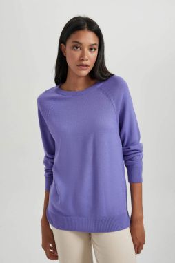 DEFACTO Relax Fit Crew Neck Pullover