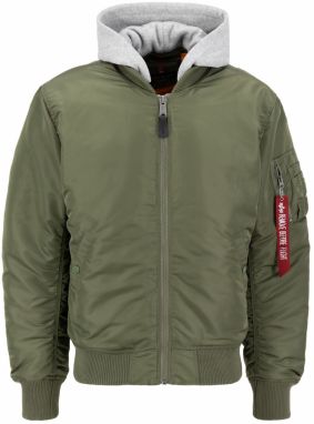 ALPHA INDUSTRIES Zimná bunda  sivá / zelená / zmiešané farby