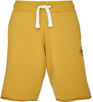 Russell Athletic SHORTS M Pánske šortky, žltá, veľkosť