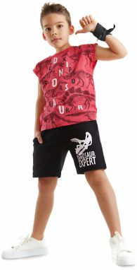 Mushi Dinosaur Expert Boys T-shirt Shorts Set