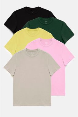 Avva Men's Black-beige-yellow-light Pink-green 5-Piece 100% Cotton Crew Neck Regular Fit T-shirt