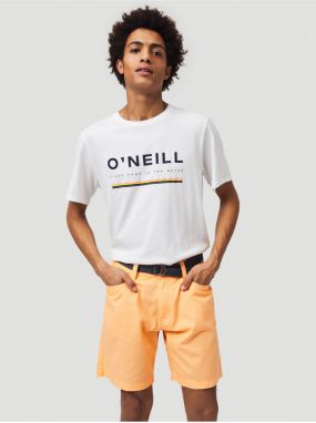 ONeill Roadtrip O'Neill Shorts - Men